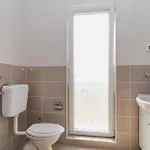 Pet Friendly In With Swimming Pool Апартаменты Нин