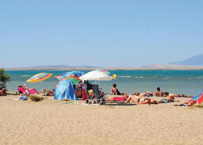 Pet Friendly In With Swimming Pool *