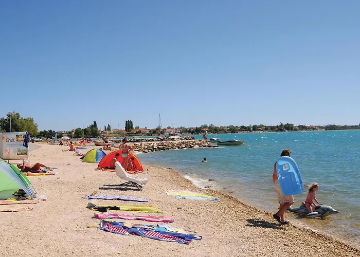 Apartment Pet Friendly In With Swimming Pool Nin